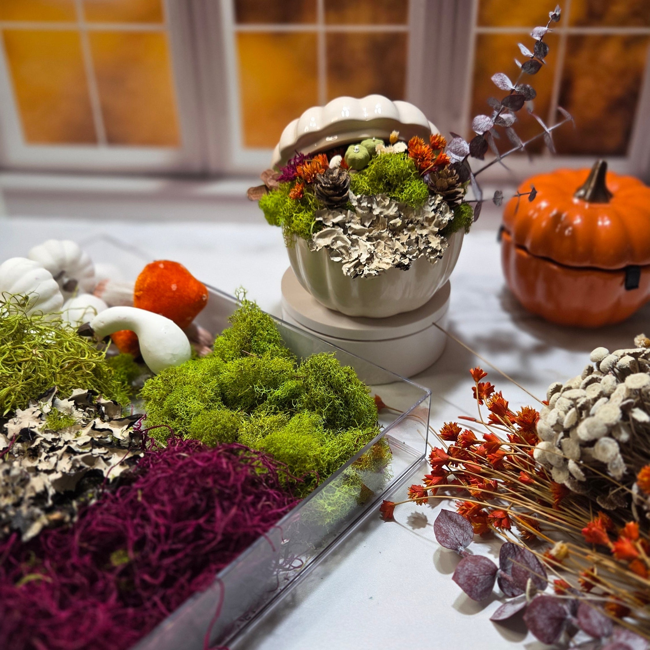 🍁 Cozy Fall Workshop Vibes ✨