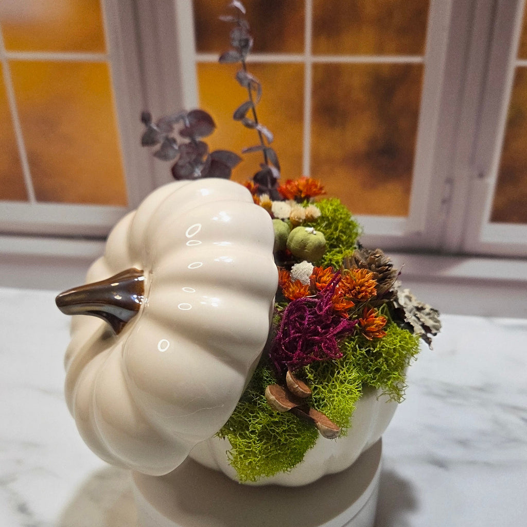 🍁 Cozy Fall Workshop Vibes ✨